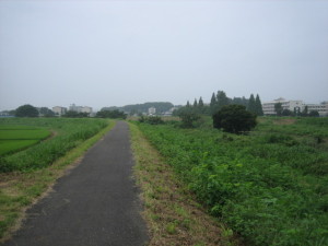 小畦川の右岸からの風景