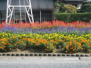 花見台工業団地に入る交差点近くの花壇