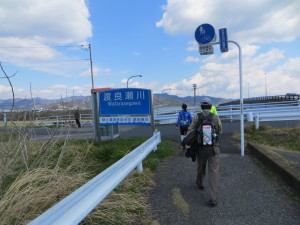 葉鹿橋たもと渡良瀬川(20140406)