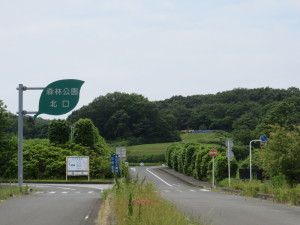 森林公園北口の様子(20160531)