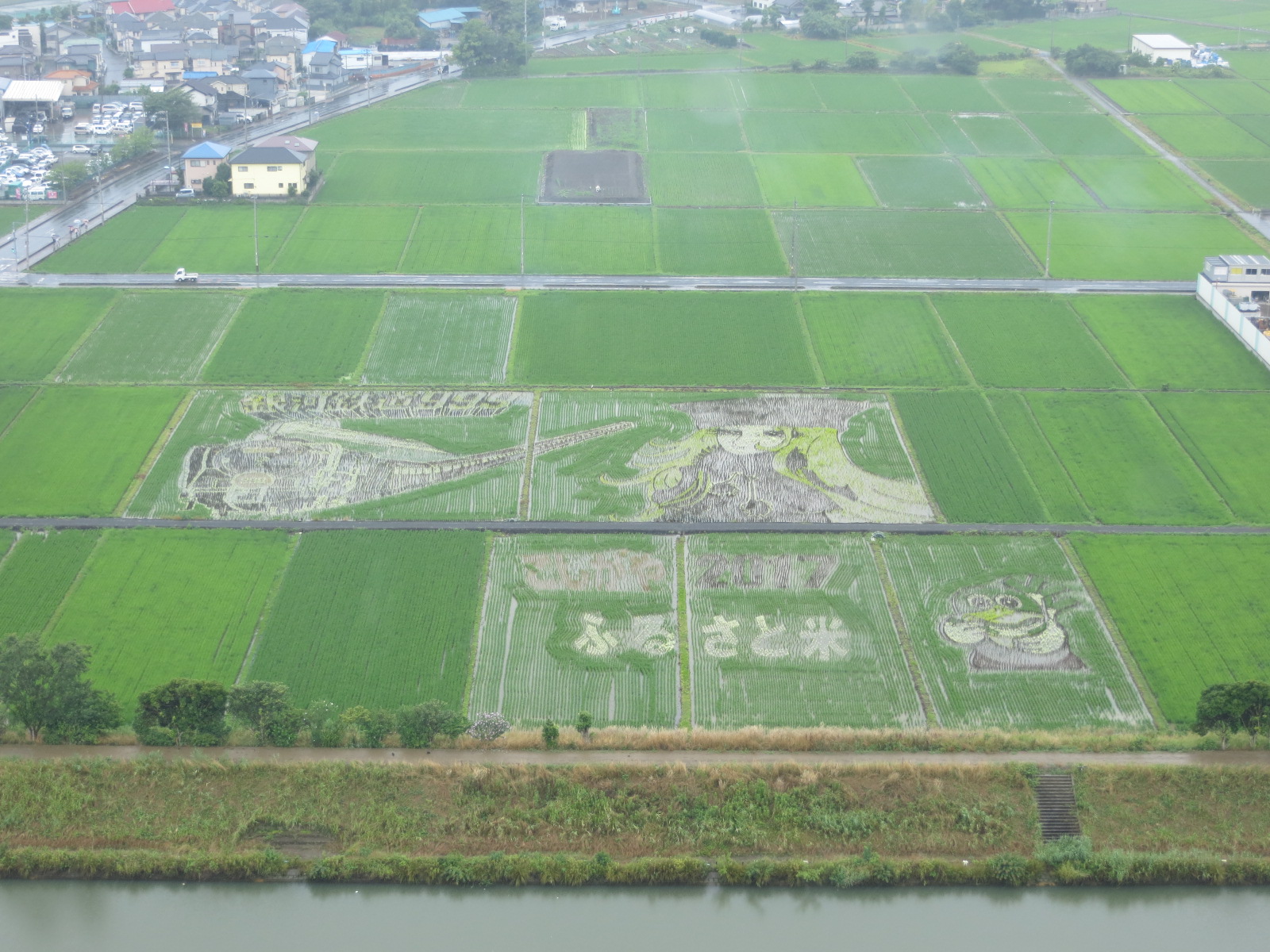 リユース展望台からたんぼアートを望む(21070701)